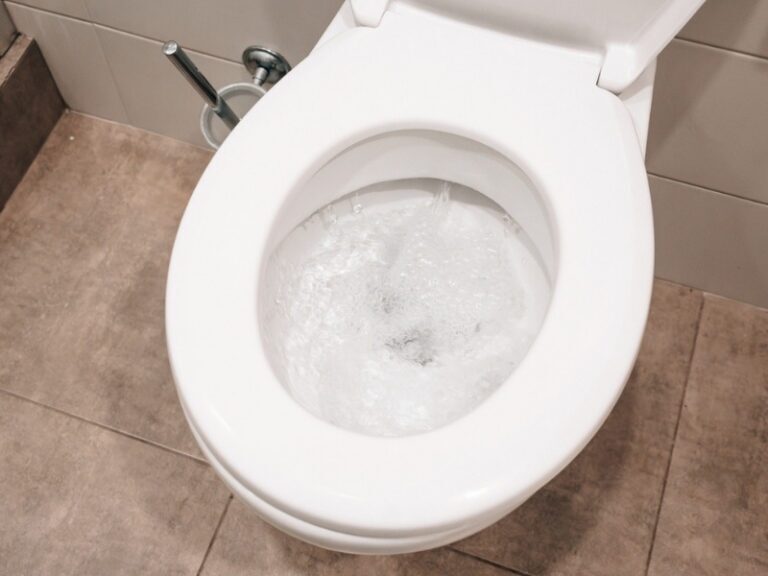 Replace Your Toilet in Carlsbad, CA
