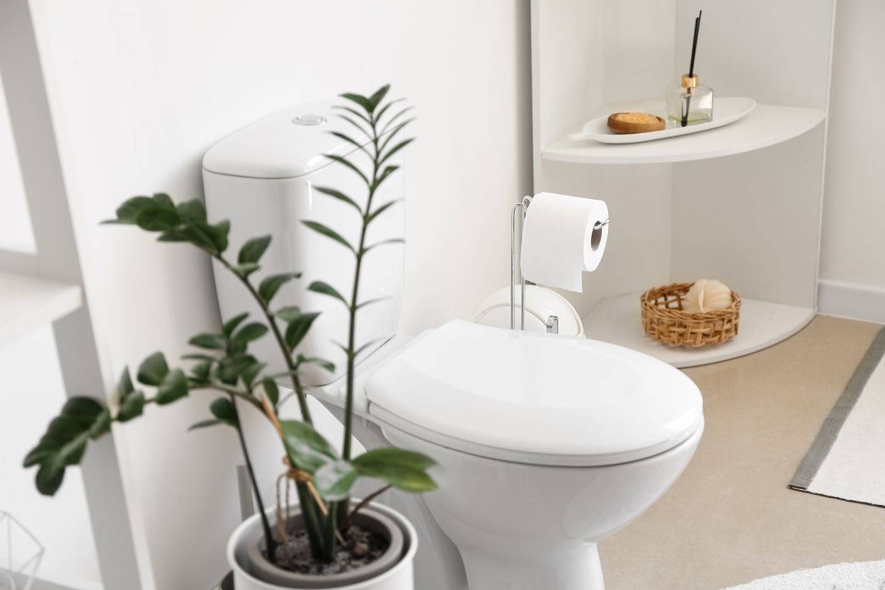 Interior of stylish modern restroom with toilet bowl